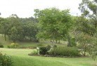 Adams Estateresidential-landscaping-40.jpg; ?>